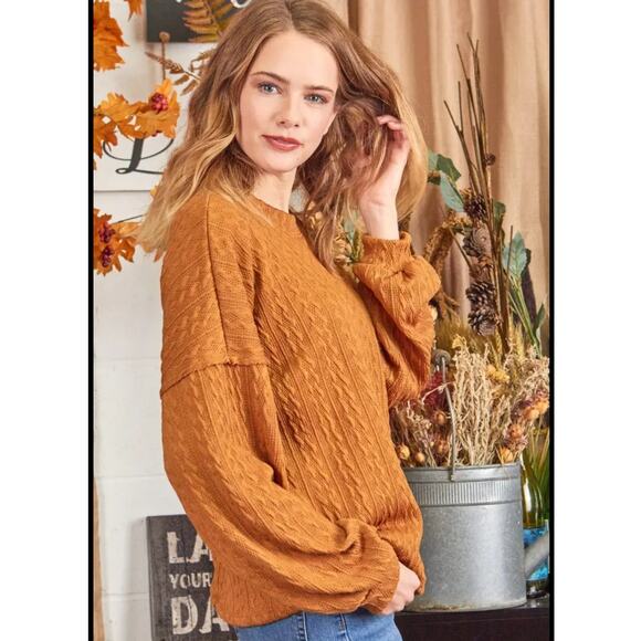 New P.S. Kate Textured Sweater Knit Top Long Sleeve Stretch Brown Size 3X - Picture 3 of 8